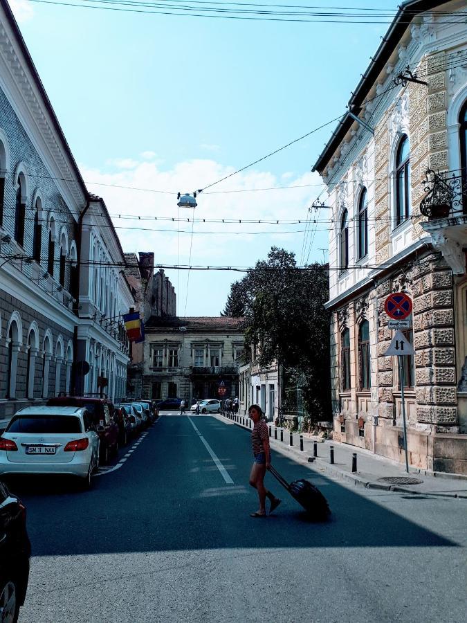 Muzeului Studio Cluj-Napoca Eksteriør bilde