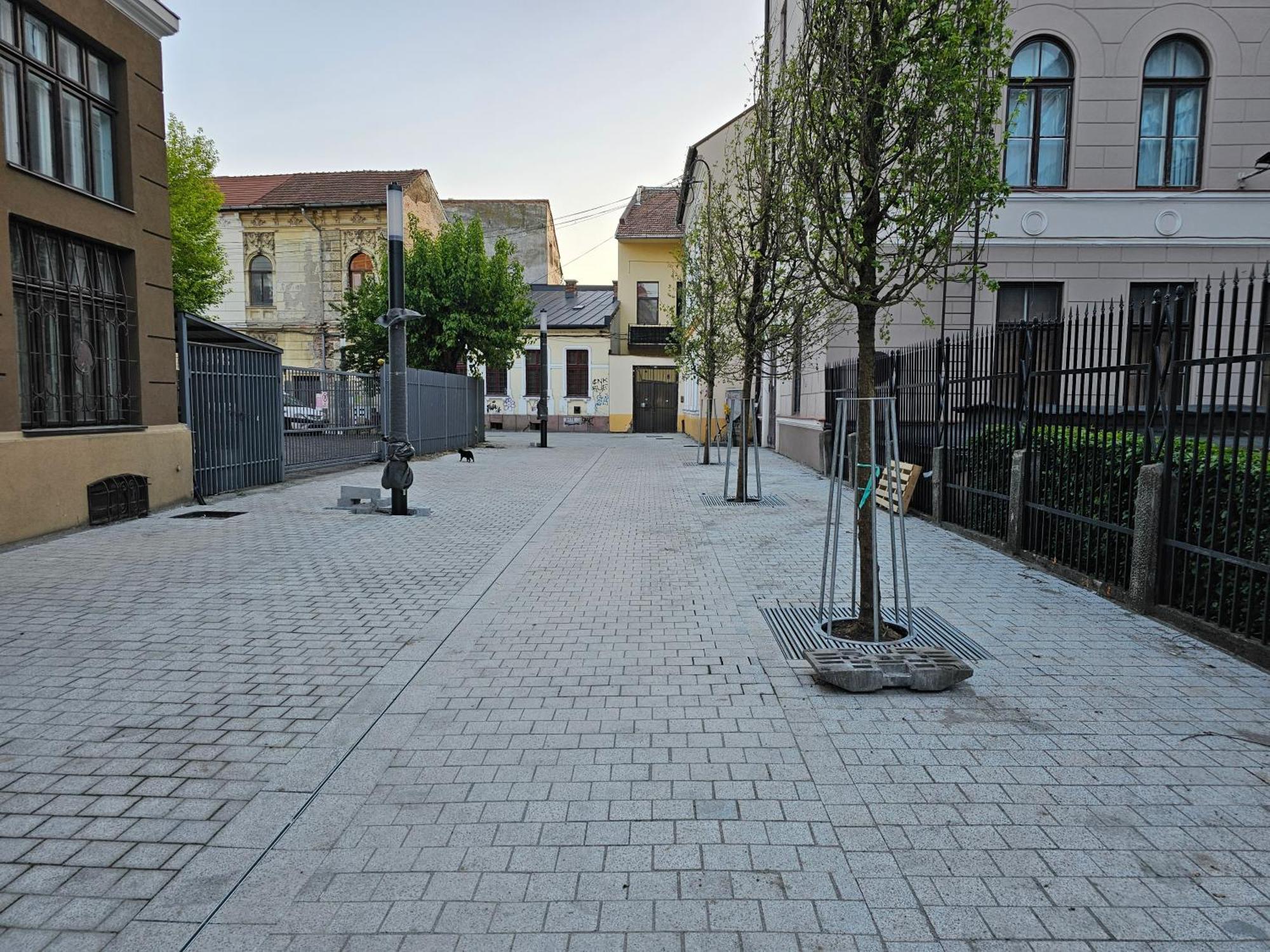 Muzeului Studio Cluj-Napoca Eksteriør bilde